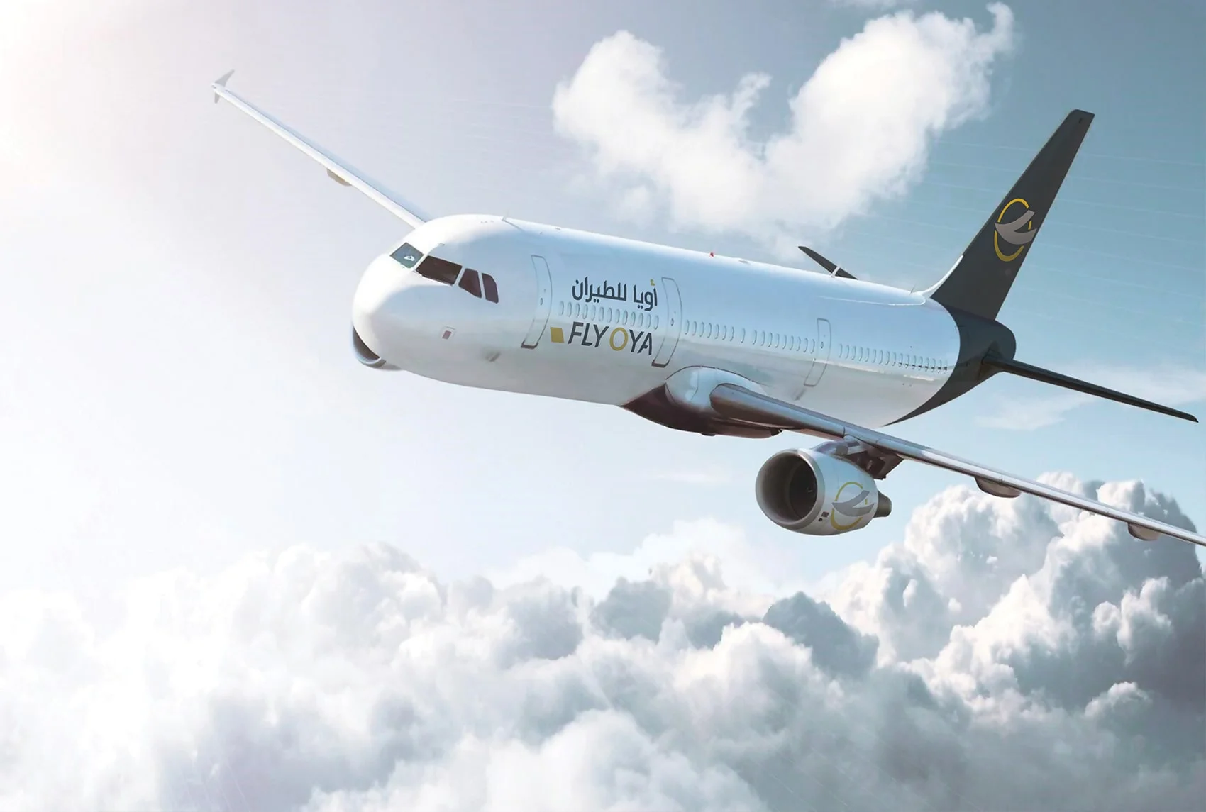 sky one signs mou to acquires minority share in fly oya a new chapter in aviation excellence
